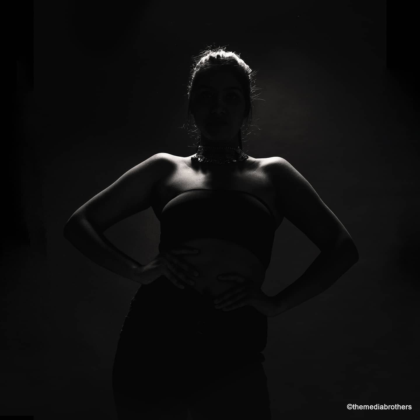 Monochrome Silhouette